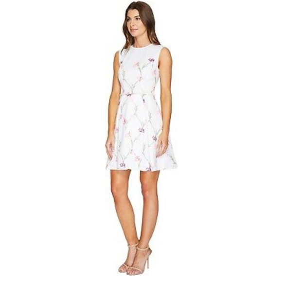 Ted Baker Dresses & Skirts - New Ted Baker Ahlanna Sketchbook A-Line Dr…